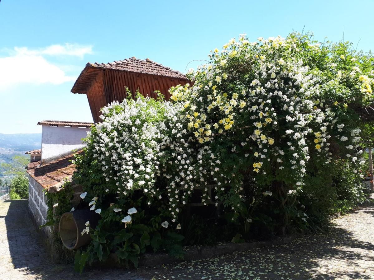 Quinta do Mirante Castelo de Paiva Exterior foto